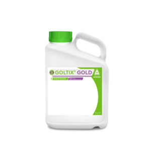 Picture of the can Goltix gold